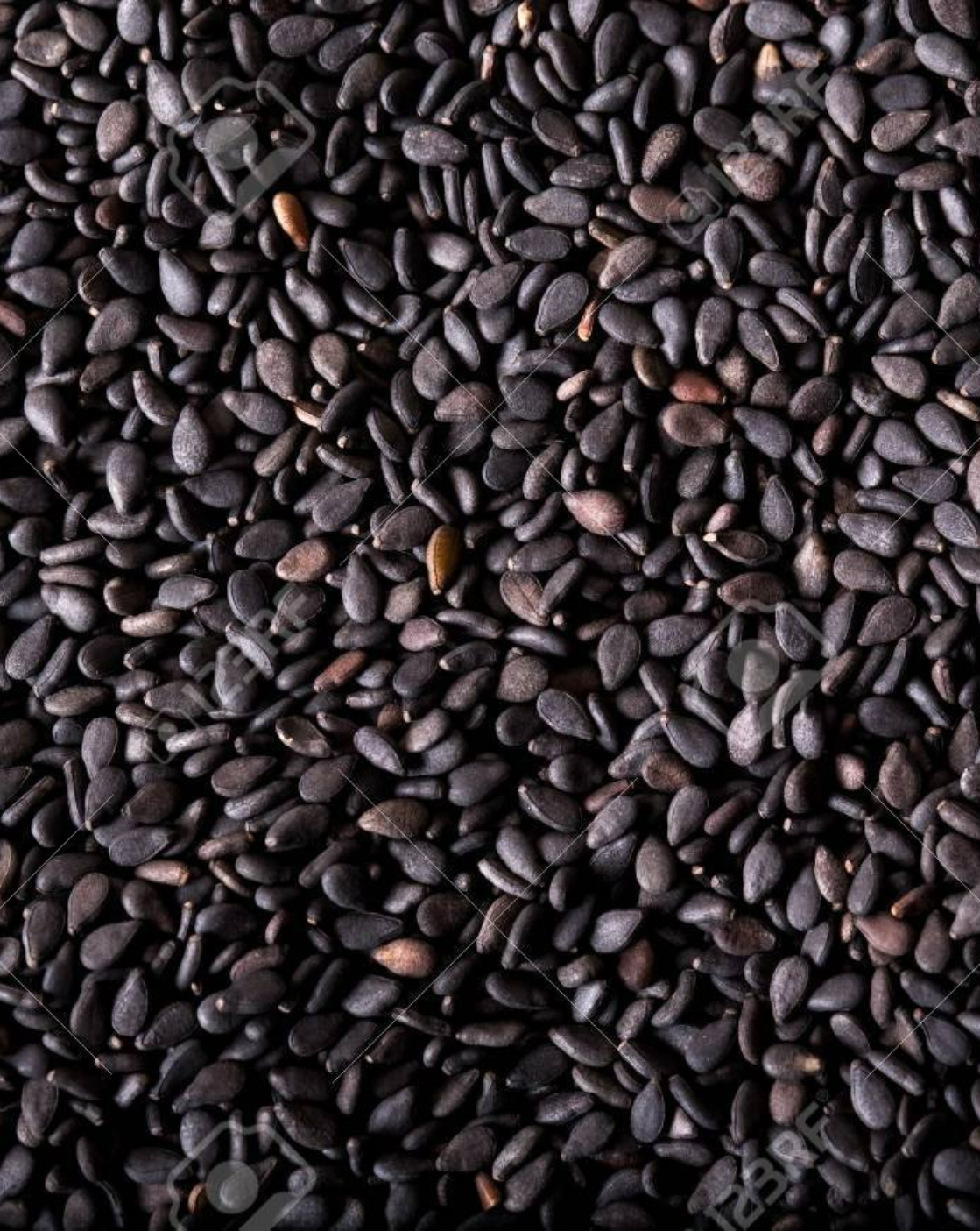 Black Sesame Seed