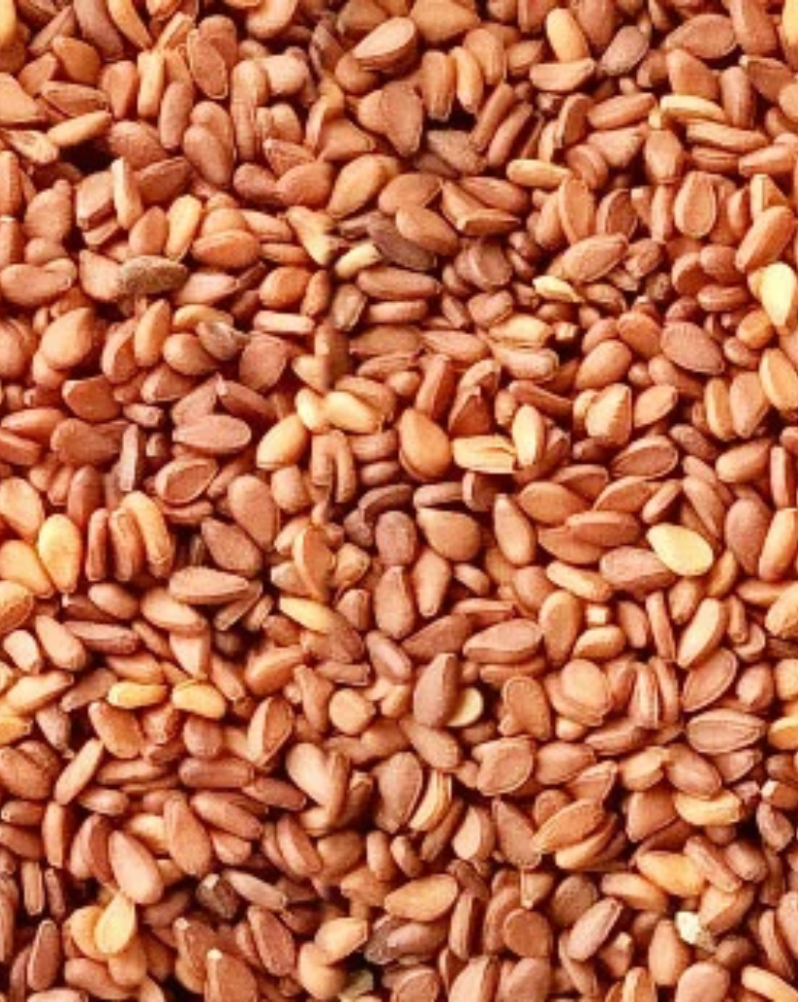 Brown Sesame Seed