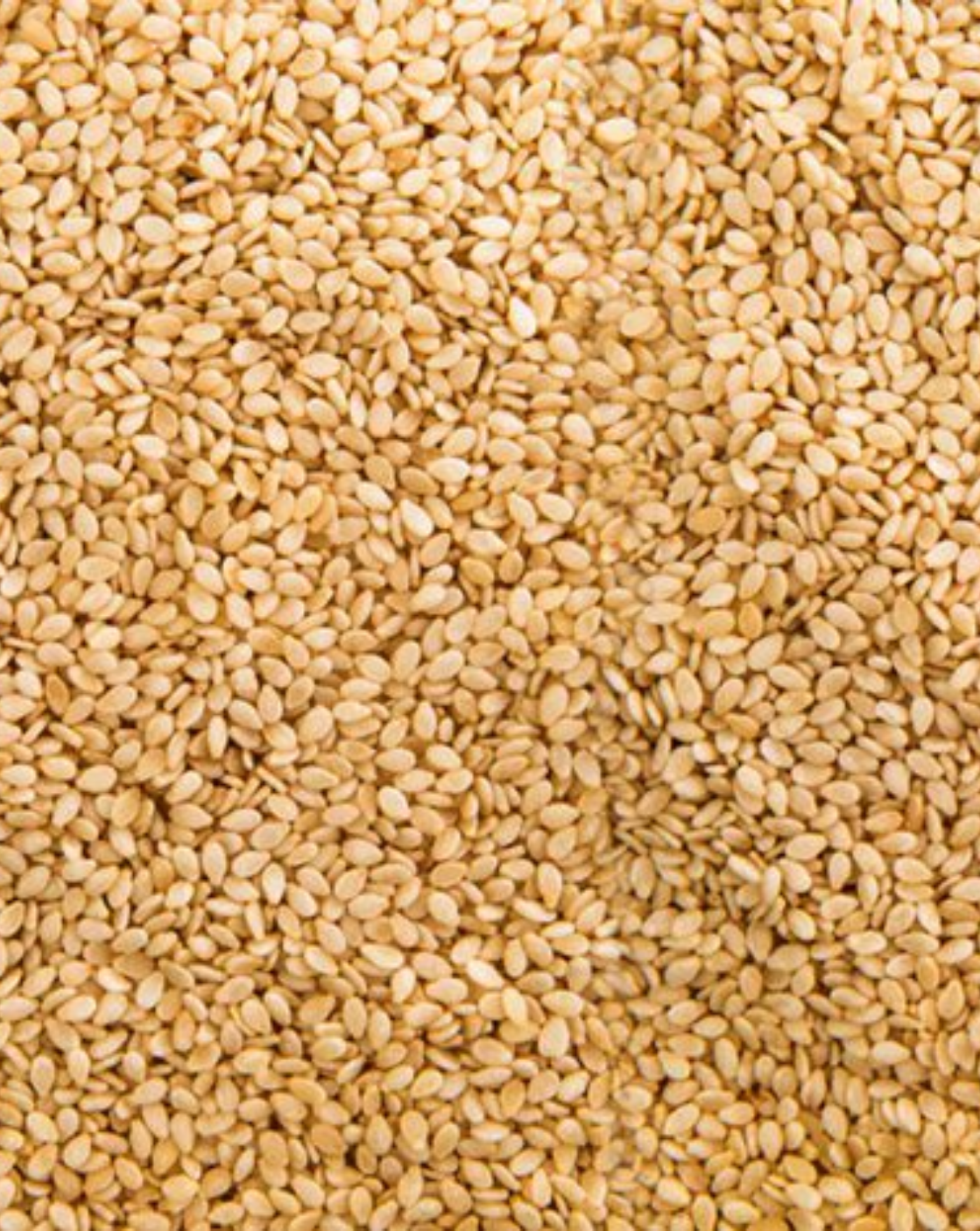 yellow Sesame Seed